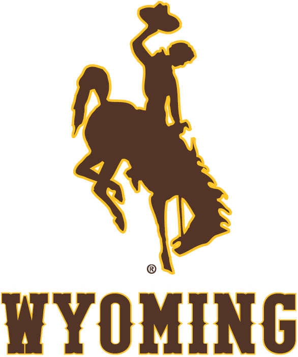 Wyoming Cowboys 2013-Pres Alternate Logo vinyl decal